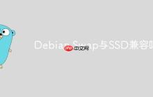 Debian Swap与SSD兼容吗