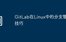 GitLab在Linux中的分支管理技巧
