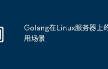 Golang在Linux服务器上的应用场景