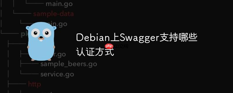 debian上swagger支持哪些认证方式