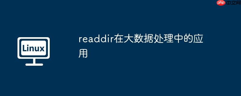 readdir在大数据处理中的应用