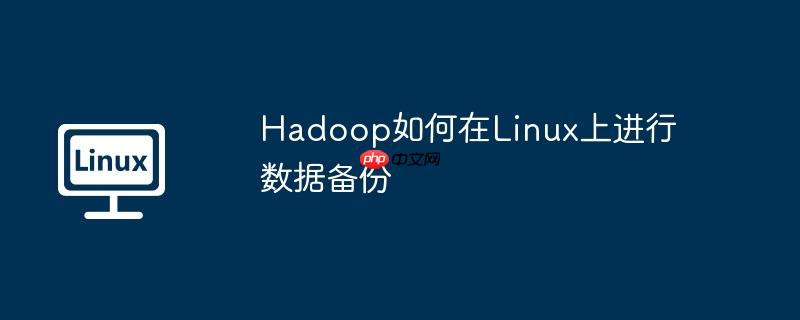 hadoop如何在linux上进行数据备份