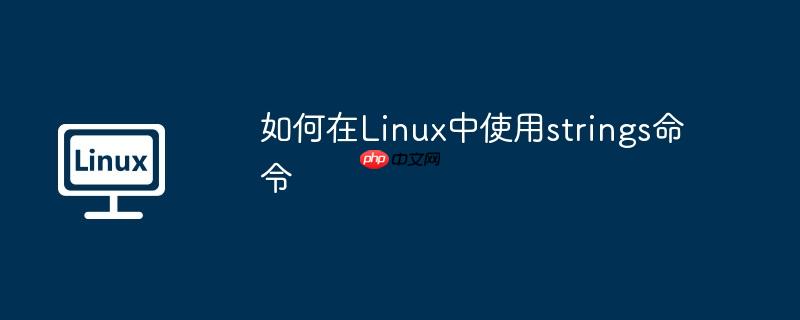 如何在linux中使用strings命令