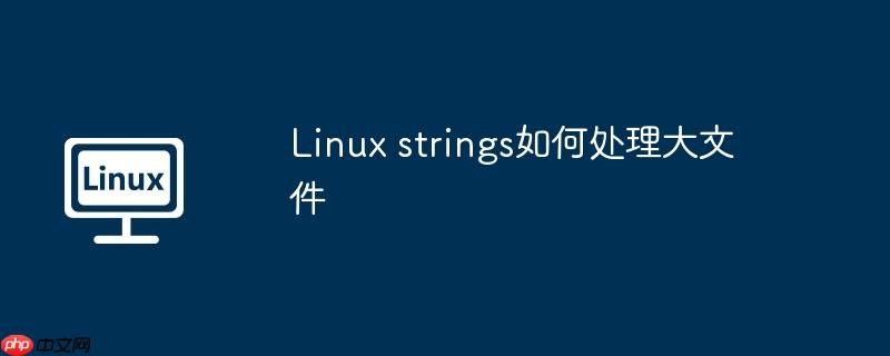 linux strings如何处理大文件