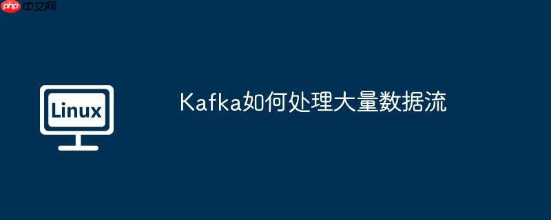 kafka如何处理大量数据流