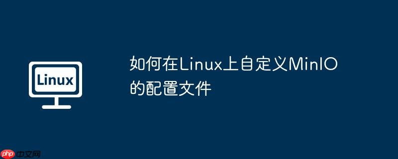 如何在linux上自定义minio的配置文件