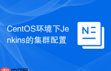 CentOS环境下Jenkins的集群配置