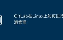GitLab在Linux上如何进行资源管理