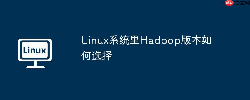linux系统里hadoop版本如何选择