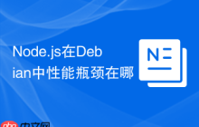 Node.js在Debian中性能瓶颈在哪