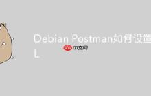 Debian Postman如何设置SSL