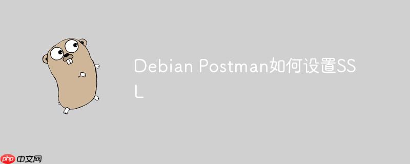 debian postman如何设置ssl
