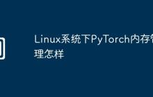 Linux系统下PyTorch内存管理怎样