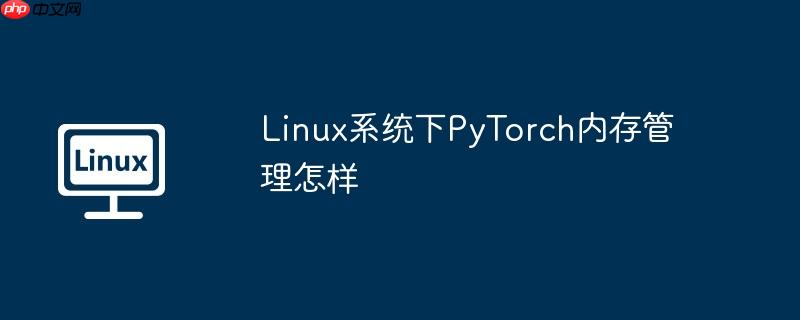 Linux系統下PyTorch內存管理怎樣-小浪學習網