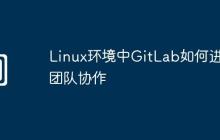 Linux环境中GitLab如何进行团队协作