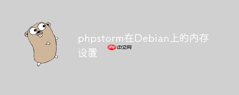 phpstorm在debian上的内存设置