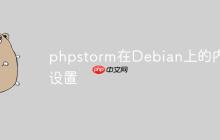 phpstorm在Debian上的内存设置