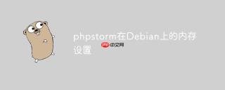 phpstorm在Debian上的内存设置