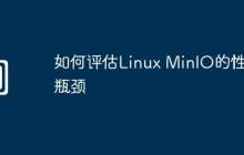 如何评估Linux MinIO的性能瓶颈