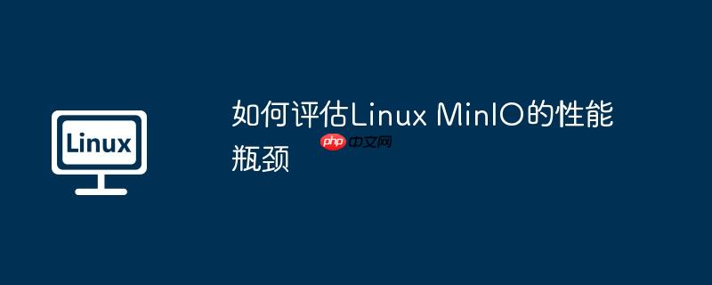 如何评估linux minio的性能瓶颈