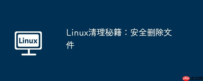 Linux清理秘籍：安全删除文件