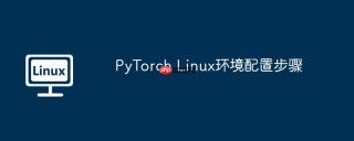 PyTorch Linux环境配置步骤