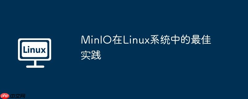 minio在linux系统中的最佳实践