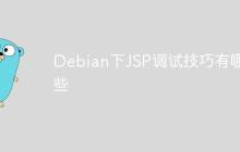 Debian下JSP调试技巧有哪些