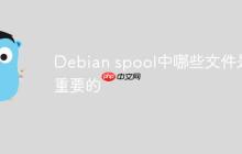 Debian spool中哪些文件是重要的