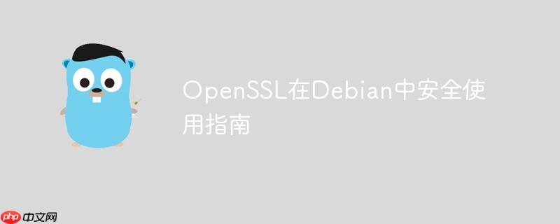 OpenSSL在Debian中安全使用指南
