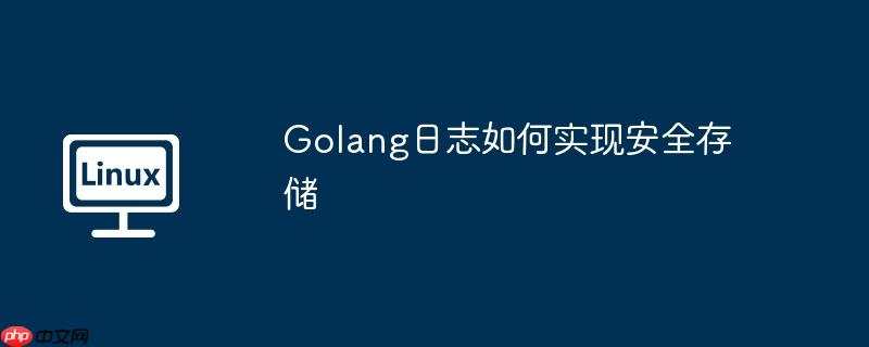 golang日志如何实现安全存储