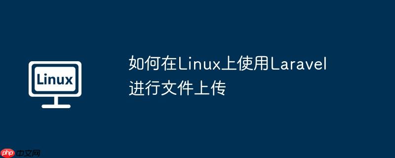 如何在Linux上使用Laravel進行文件上傳-小浪學(xué)習(xí)網(wǎng)
