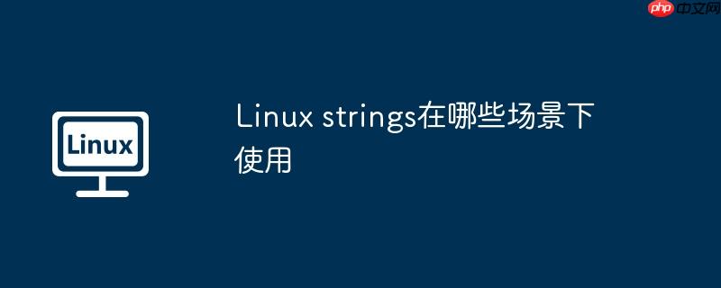 Linux strings在哪些场景下使用-小浪学习网
