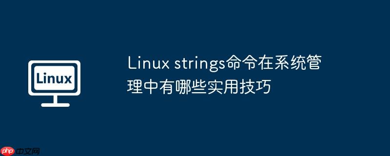Linux strings命令在系统管理中有哪些实用技巧-小浪学习网