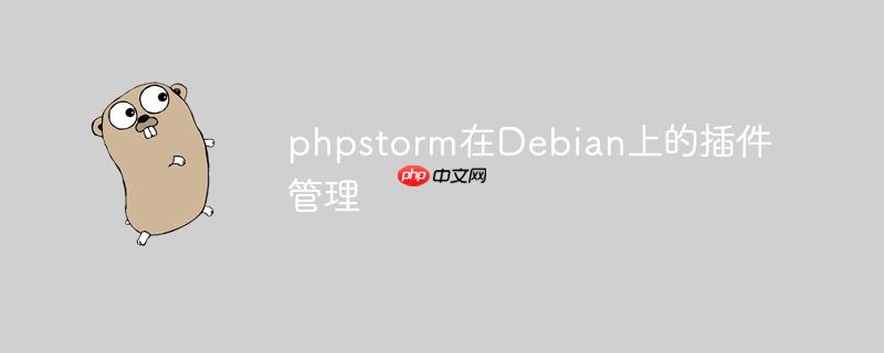 phpstorm在debian上的插件管理