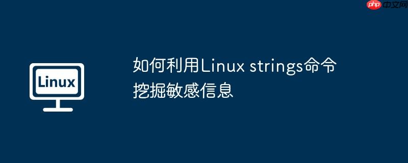 如何利用linux strings命令挖掘敏感信息
