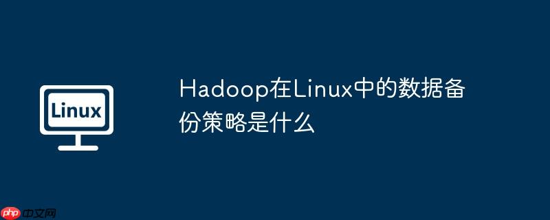 hadoop在linux中的数据备份策略是什么