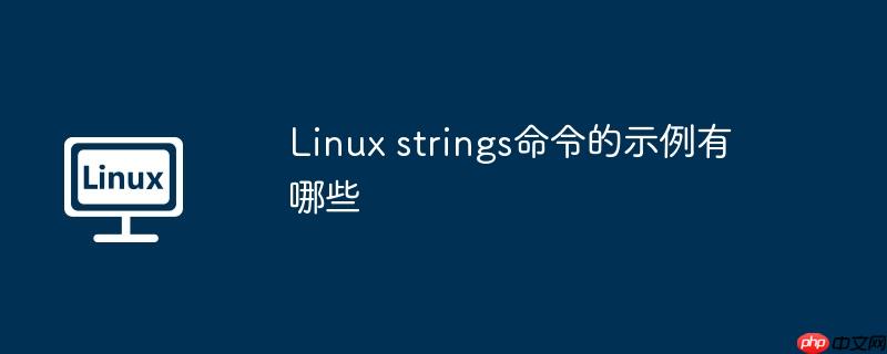 Linux strings命令的示例有哪些-小浪學習網