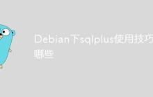 Debian下sqlplus使用技巧有哪些