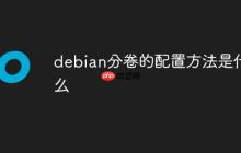 debian分卷的配置方法是什么