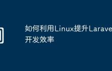 如何利用Linux提升Laravel开发效率
