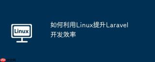 如何利用Linux提升Laravel开发效率