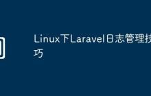 Linux下Laravel日志管理技巧