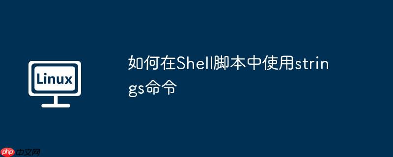 如何在shell脚本中使用strings命令