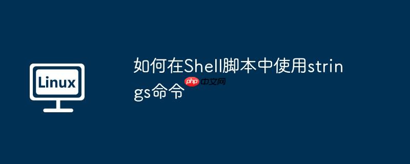 如何在Shell脚本中使用strings命令