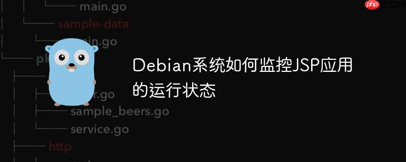 debian系统如何监控jsp应用的运行状态