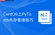CentOS上PyTorch内存管理技巧