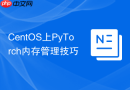 CentOS上PyTorch内存管理技巧