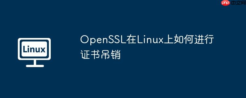 openssl在linux上如何进行证书吊销
