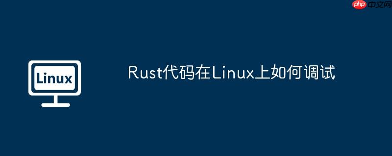 Rust代码在Linux上如何调试